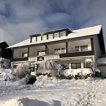 Berghaus Winterberg Hotel Kültér fotó