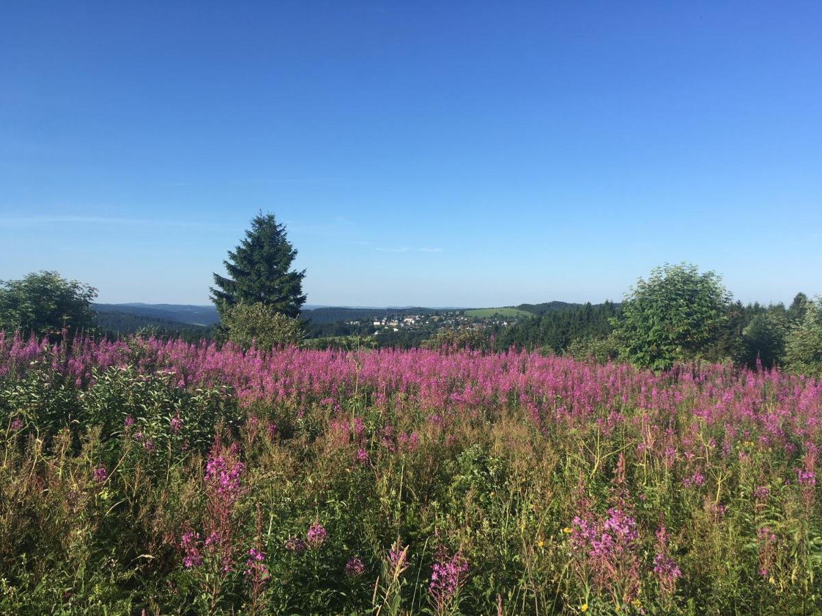 Berghaus Winterberg Hotel Kültér fotó